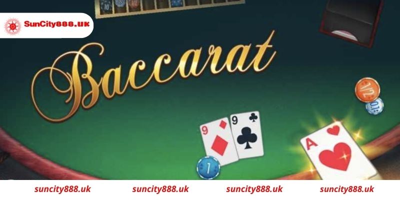 Game bài hot hit như catte Suncity