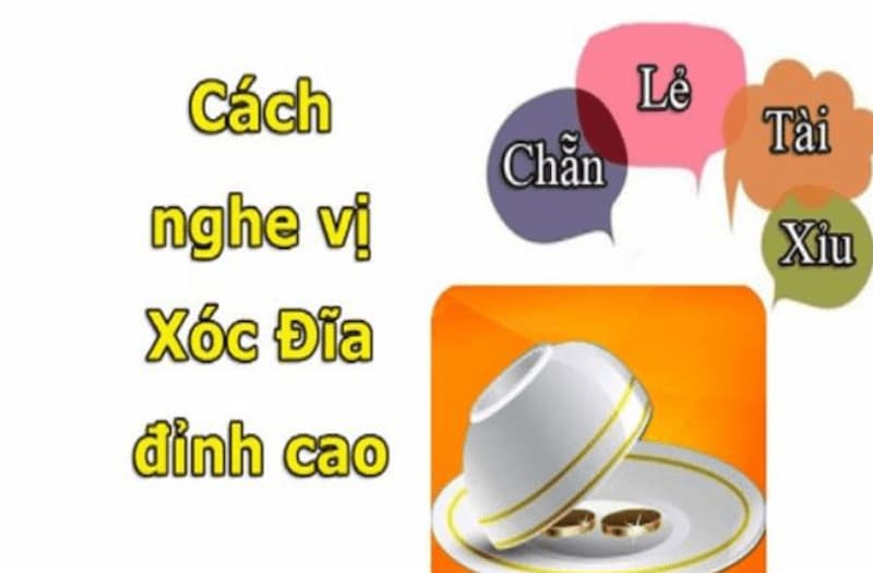 Mách Bạn Cách Nghe Vị Xóc Đĩa Đoán Kết Quả Luôn Trúng