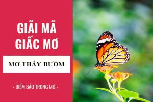 Nằm mơ thấy con bướm nên đánh con gì để trúng lớn