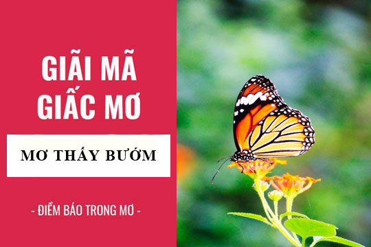 Nằm mơ thấy con bướm nên đánh con gì để trúng lớn